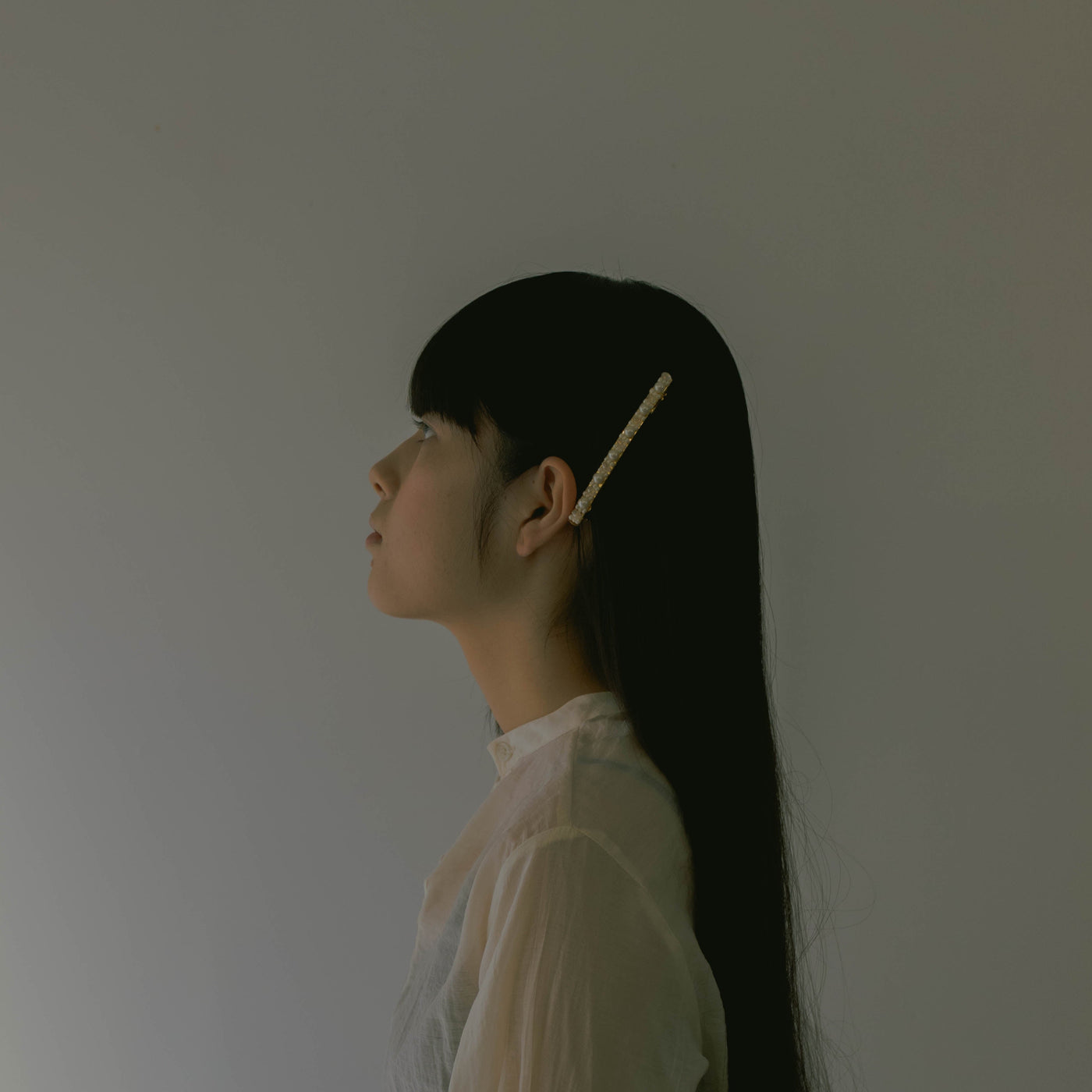 #1034 Barrette