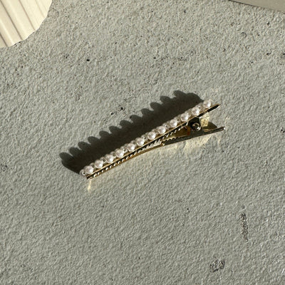 #1041 Hair clip