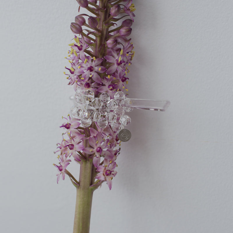 【nuEve】#1054 マジェステ(color)