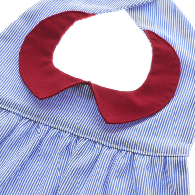A refreshing bib with a bright red collar and blue stripes
