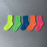 【hamomisi】Neon socks